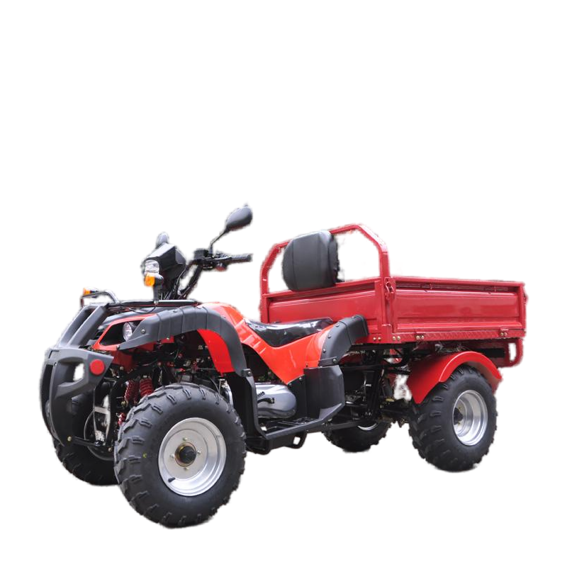 Hot sale Farm ATV 200CC 4 wheeler ATV multipurpose ATV with high quality